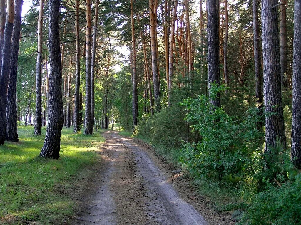 Новосибирск ордынск