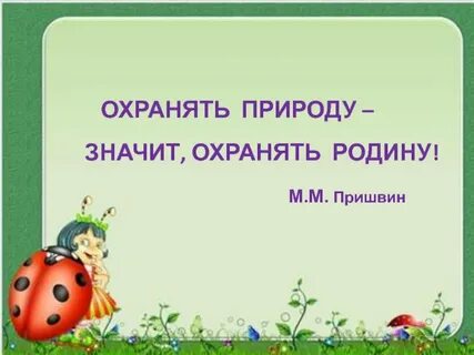Охранять природу значит охранять родину