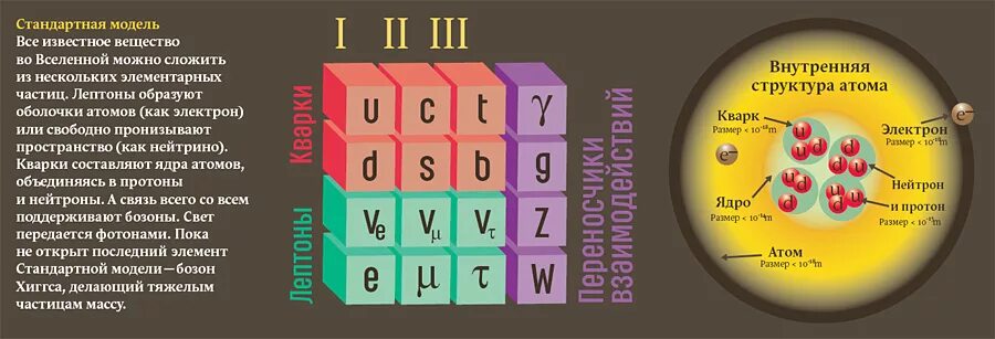 Стандартная модель элементарных частиц. Элементарные частицы таблица кварки. Таблица кварков лептонов и бозонов. Скварки слептоны Бозино таблица. Строение элементарной частицы