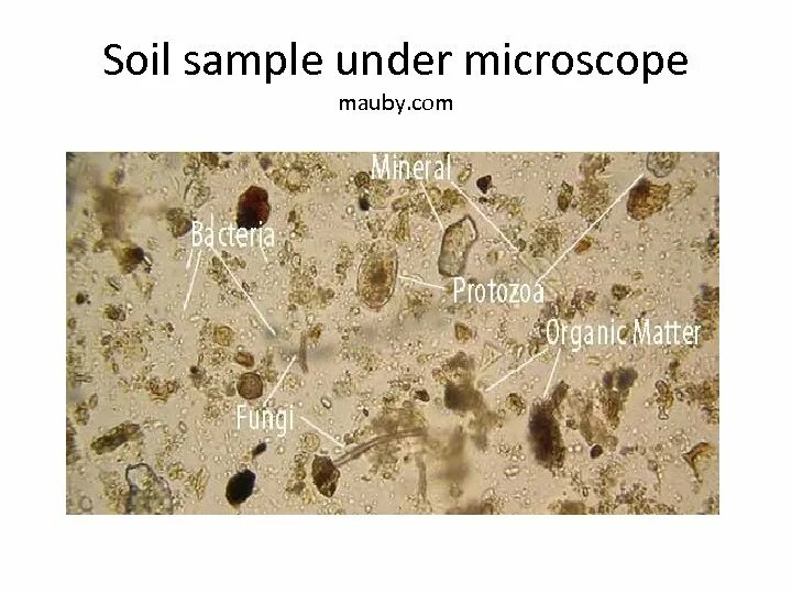 Under sample. Under sample