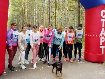 Подслушано дк