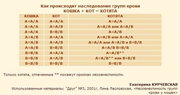 Группы крови кошек совместимость. Сколько групп крови у кошек. Группа крови у кошек таблица. Совместимость крови у кошек. Группа крови у собак