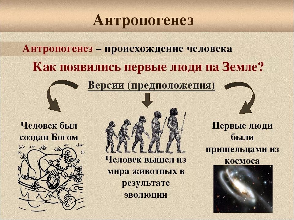 Как произошли люди на земле. Происхождение человечества Антропогенез. Происхождение человека Антропогенез. Эволюция человека Антропогенез. Антропогенез это в биологии.