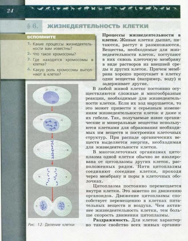 Математика 5 класс дорофеева шарыгин математика. Математика 5 класс учебник п. Линия жизни биология 5-6 класс пасечник в. Учебник математики 5 коас. Учебник по математике 5 класс мерзляк 1 часть задания без ответов.