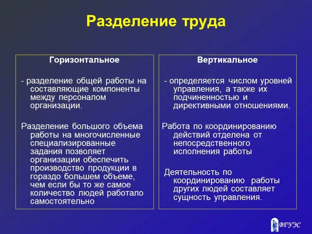 Различия между горизонтальным и вертикальным разделением труда