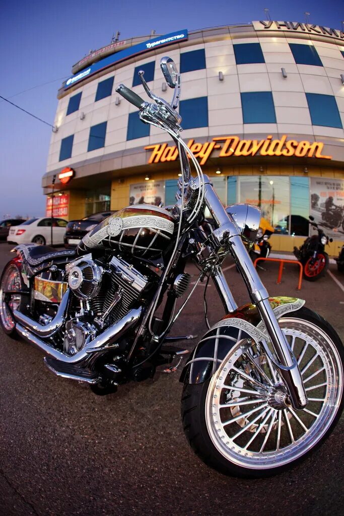 Мотоциклист краснодар. Байки краснодар. Байки краснодар. Мото юг крымск. Мотоциклист краснодар.