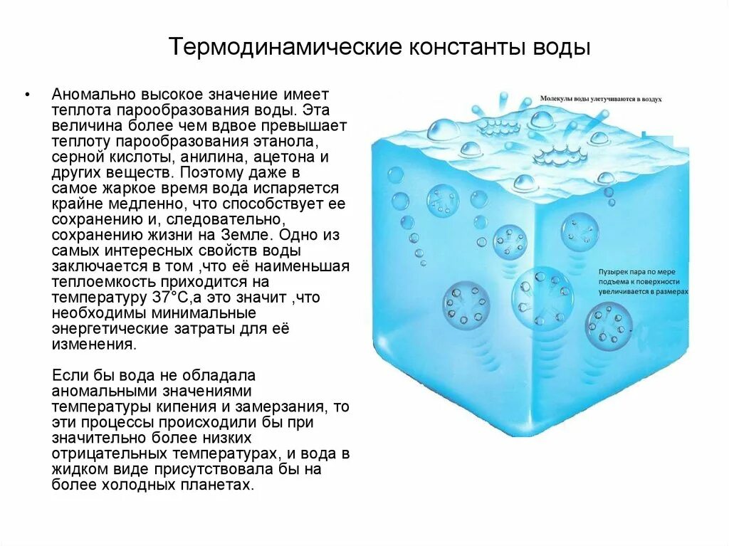 Аномалии воды химия. Аномалия воды температура. Вода аномальные свойства воды. Константа испарения воды.