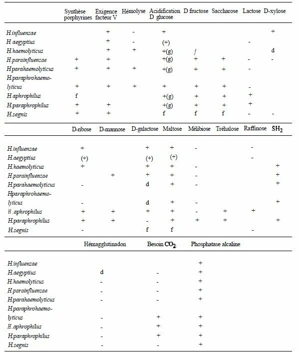 Haemophilus в мазке у мужчин. Haemophilus influenzae норма у детей. Haemophilus influenzae норма у детей в зеве. Haemophilus haemolyticus в норме. Haemophilus parainfluenzae норма.