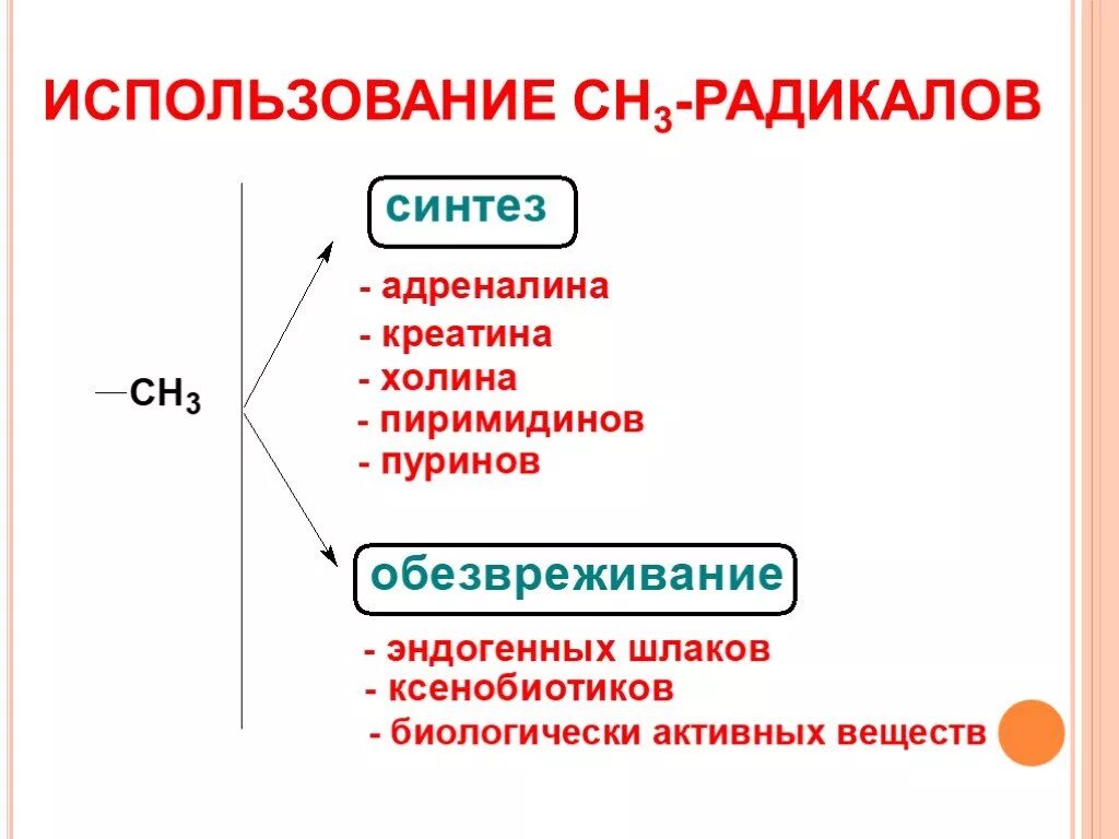 Система радикалов. Область применения радикалов.