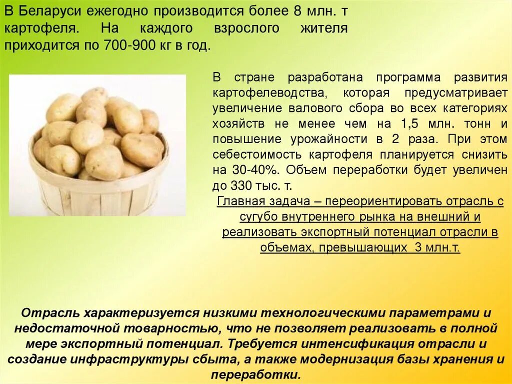 Курсовая работа картофель. Технология картофеля. картофель презентация. технология выращивания картофеля. презентация возделывание картофеля.