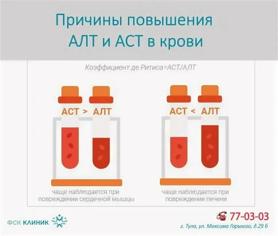 Повышение алт и аст при нормальном билирубине. Повышение алт и аст в крови. соотношение аст и алт норма. повышение алт и аст в крови причины. коэффициент аст к алт.
