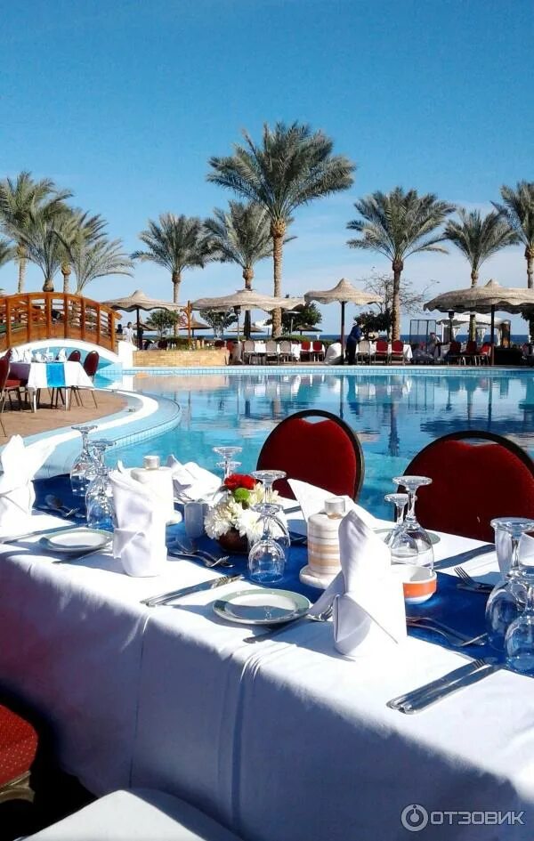 Albatros royal grand sharm шарм-эль-шейх. (16+) 5. Отель пикальбатрос шарм эль шейх гранд роял. Египет альбатрос гранд шарм. Египет альбатрос гранд шарм.