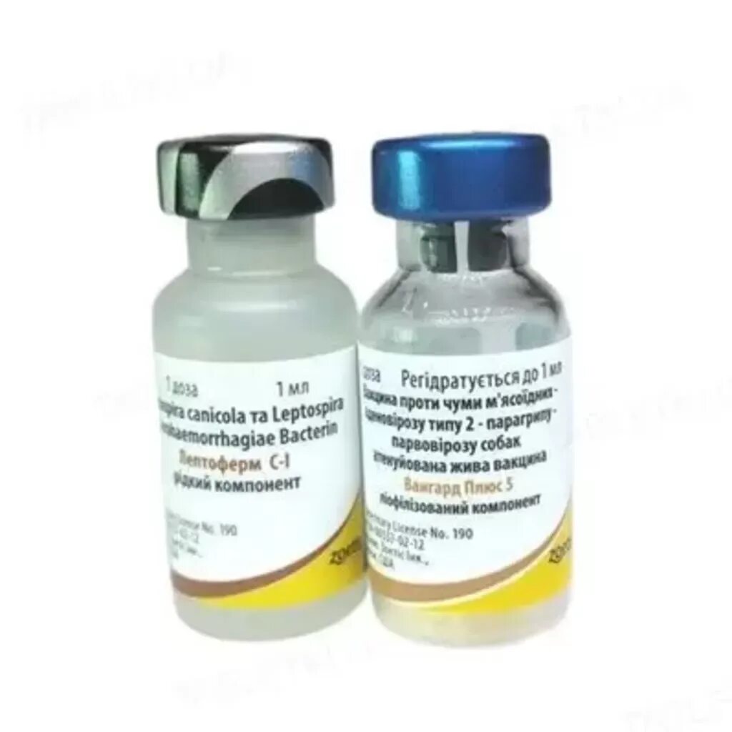 Прививка вангард 5. Вангард плюс 5l/4 cv. Вангард 5 вакцина для щенков. Вангард плюс 5l/4 cv. Вакцина вангард7.