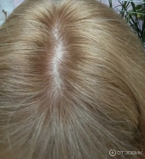 Кастинг 9. Кастинг 810. кастинг от лореаль 8.1. loreal casting creme gloss 810. краска для волос лореаль 8.32.