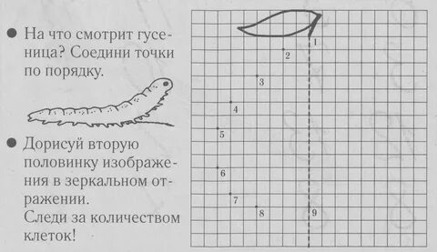 Симметрия карточка