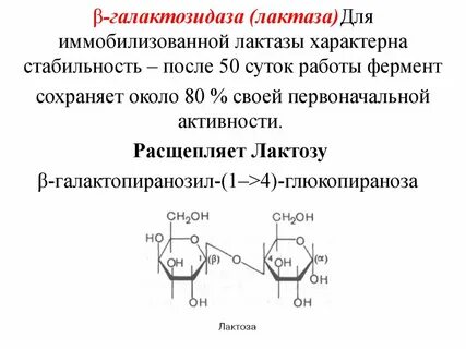Фермент лактаза