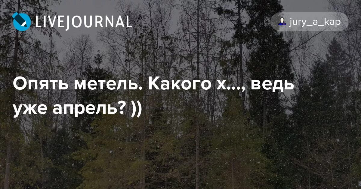 Опять метель какого ведь уже апрель