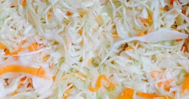 Лучшие сорта капусты для засолки и квашения с описанием и фото
