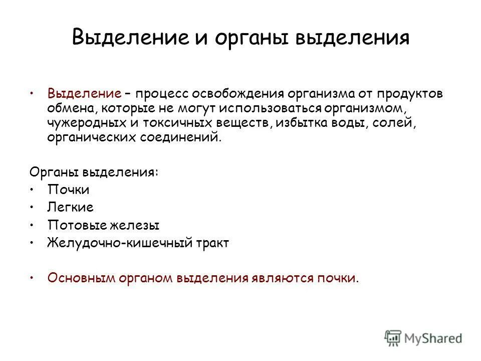 Органы относящиеся к выделительной системе человека. Выделительная система почки. Система выделения человека. Выделительная система человека схема. Физиология органов выделения.