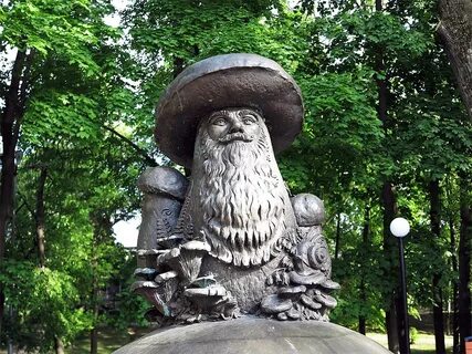 Где находятся грибы с глазами в рязани