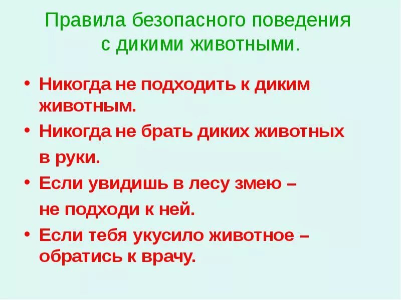 Правила поведения с дикими животными в лесу. Правила поведения при встрече с дикими животными. Правила поведения с дикими животными для детей. Правила проведения при встрече с дикими животными в лесу. Обж безопасность при встрече с дикими животными