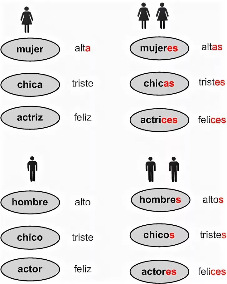 Правило множественного числа в испанском языке. Множественное число в испанском языке. Неопределенный артикль в итальянском языке. Правило образования множественного числа в испанском языке. Местоимения в испанском языке таблица.