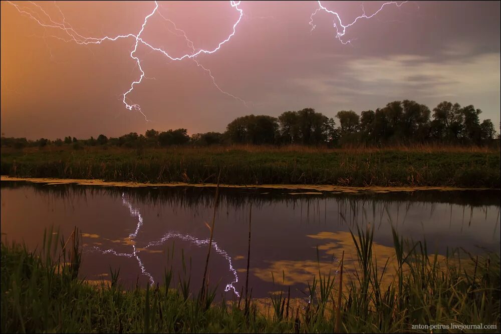 Фёдор иванович тютчев весенняя гроза. Весенний гром. И. Весенняя гроза / тютчев ф. Гроза в мае.
