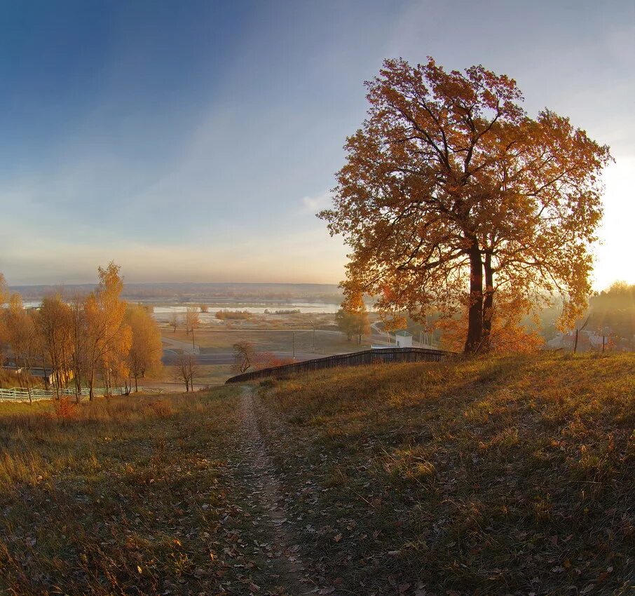 Утро осени картинки. Осеннее утро. Осень раннее утро. Осеннее утро пейзаж. Утро осенью.