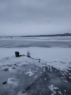 Новости с финского залива сегодня