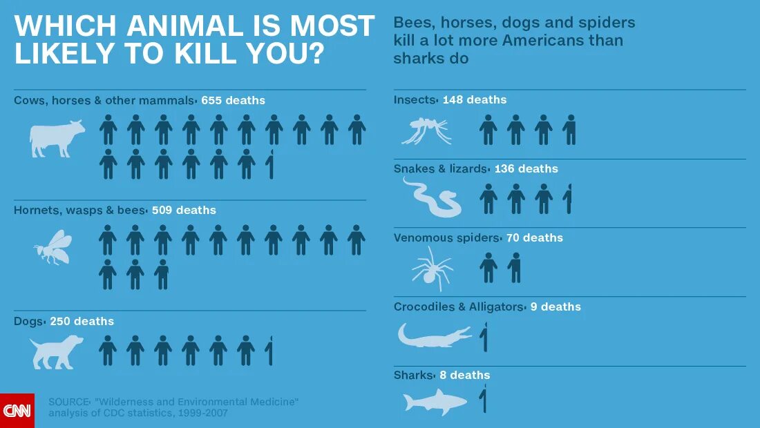Статистика нападений собак. Карта нападения акул. Статистика нападения на людей. Статистика опасных животных. Статистика нападения акул.