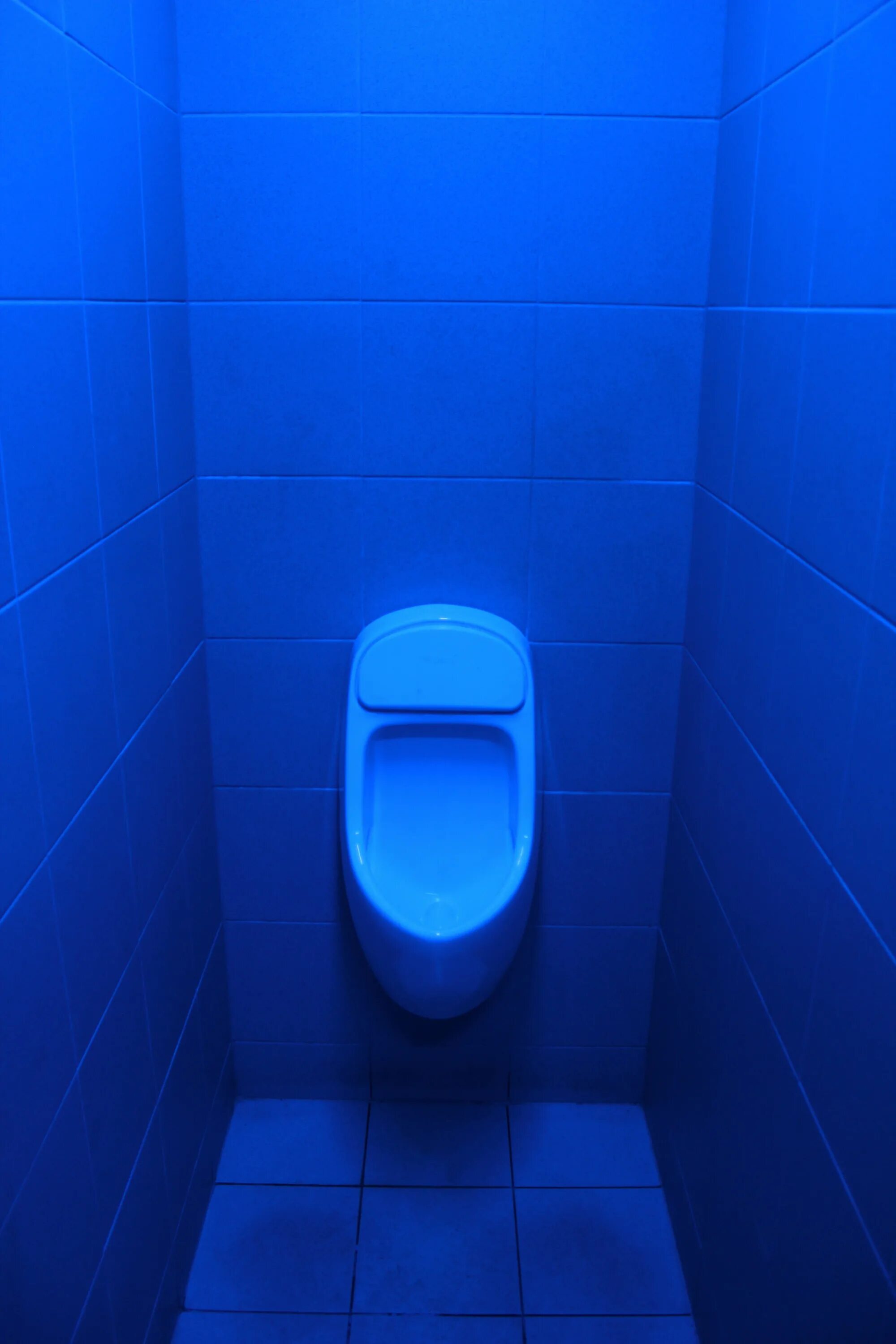 Покажи фотографию туалета. Туалет. Синяя плитка в туалете. Синий туалет. Голубой туалет.