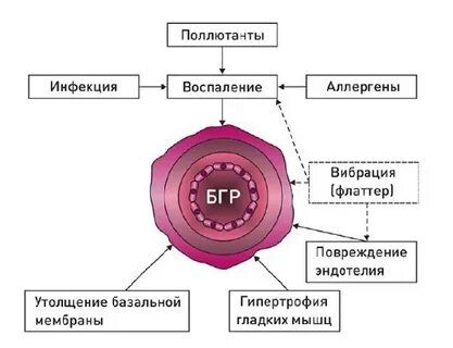 Гиперреактивность бронхов