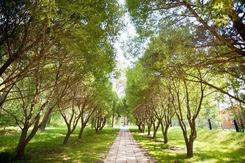Качка пермский край погода