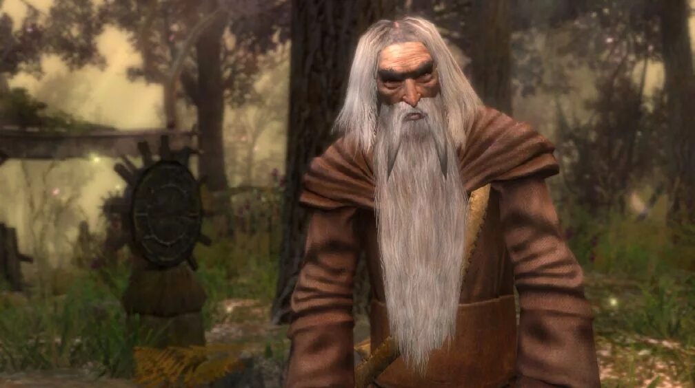 Призрак лео ведьмак 1. Культ вечного огня ведьмак 3. Ведьмак 1 преподобный. Ведьмак 1 преподобный. Ведьмак священник.