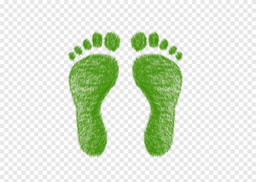 Ecological footprint. Ecological footprint. Carbon footprint reduction. Footsteps. Экологический след.