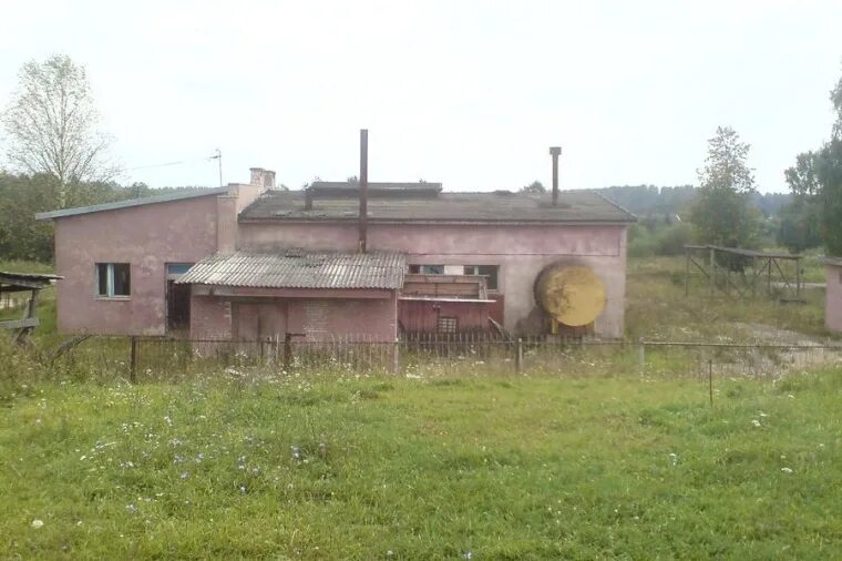 Туричино псковская область. Туричино. Погода туричино. Погода туричино невельского. Погода туричино невельского.