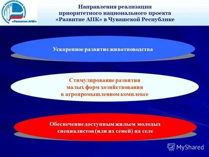 4 основных направления реализации национальных проектов