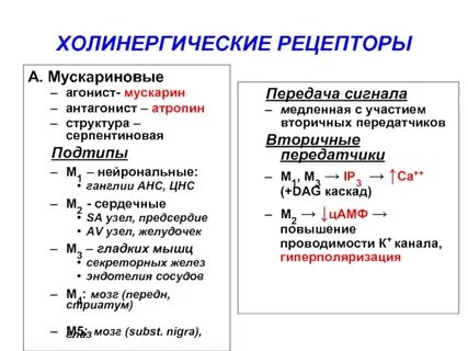 Мускариновыми рецепторами