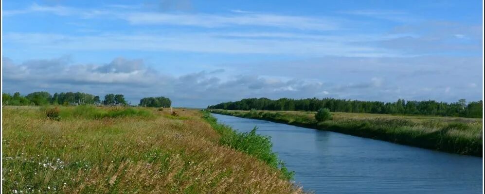 Погода в плотниково алтайский край. Село Плотниково Алтайский край Каменский район. Село Плотниково Алтайский край Косихинский район. Сёла Каменского района Алтайского края. Река Кулунда Алтайский.