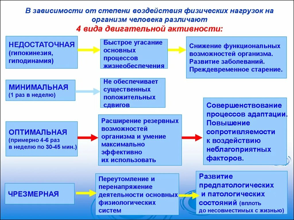 Влияние физических нагрузок на организм. Вид двигательной нагрузки. Факторы определяющие воздействие физических упражнений. Принципы тренировки психических возможностей.