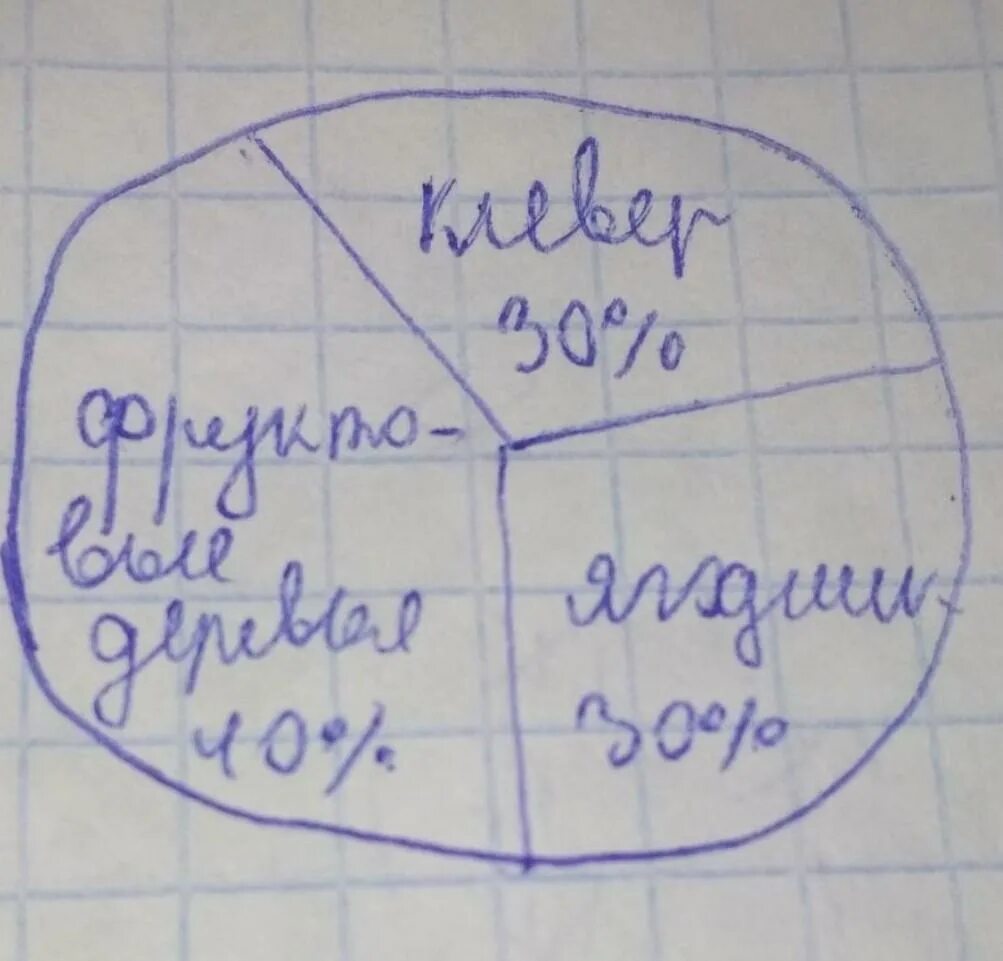 Найдите площадь занятую фруктовыми деревьями. Площадь земельного участка 1080. площадь -1080м2 2патам фруктовый деревья клевер? решение. площадь -1080м2 2патам фруктовый деревья клевер?.