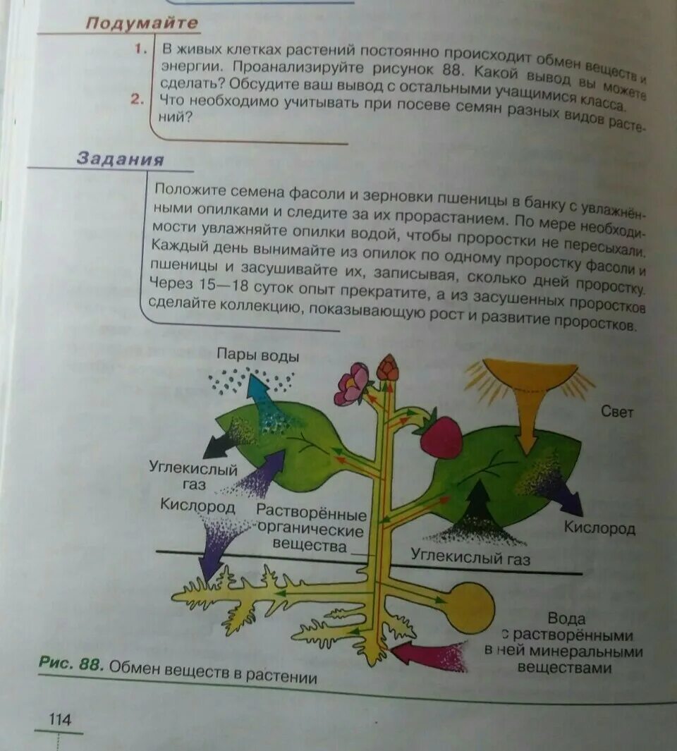 Биология 6 класс стр 101 вопросы. Задания по биологии. Учебник биологии растения. Учебник по биологии растения иллюстрации. Обмен веществ 6 класс.