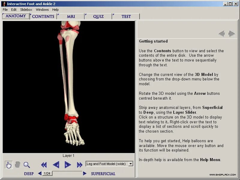 лоу поли человек референс. Complete human anatomy primal 3d interactive series 9cds. девушка с прессом 3д анатомия. Model 1500 polygon. 3d complete.