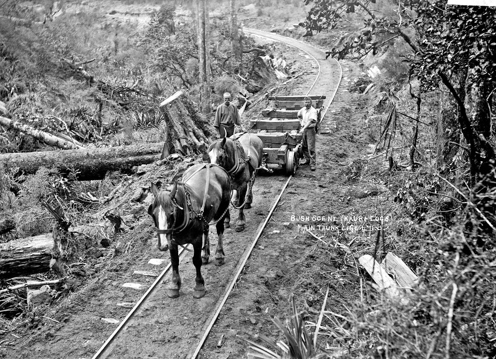 Железная дорога на конной тяге. Железные дороги с конной тягой. Первые рельсовые дороги. Первые рельсовые пути.