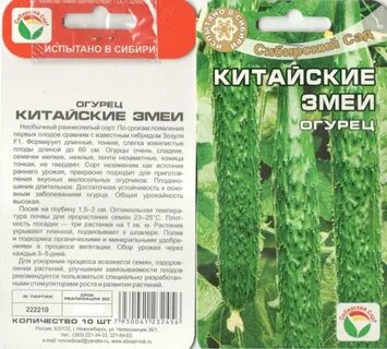 Лучшие сорта китайских огурцов