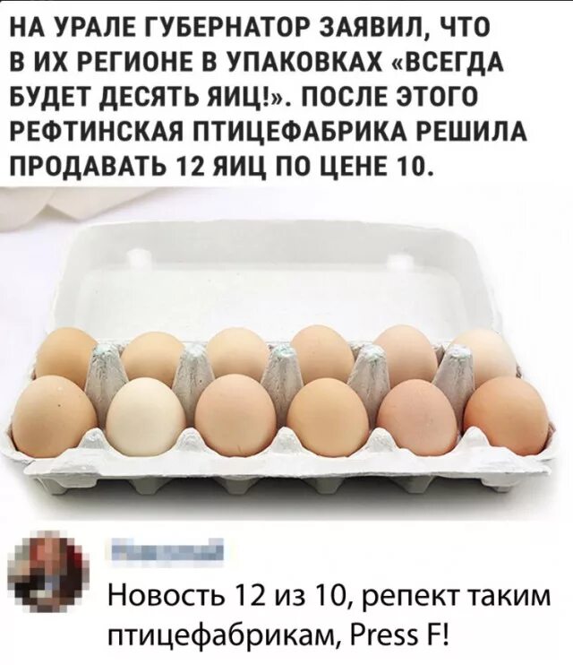 Десять яиц в день. Объявление о продаже яиц. Мемы из Магнитогорска. Образец объявления о продаже яиц. Объявление продам яйца.