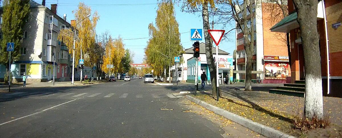 ул. улица ломоносова пермь. снят ул ломоносова. улица ломоносова ижевск. улица ломоносова санкт-петербург.