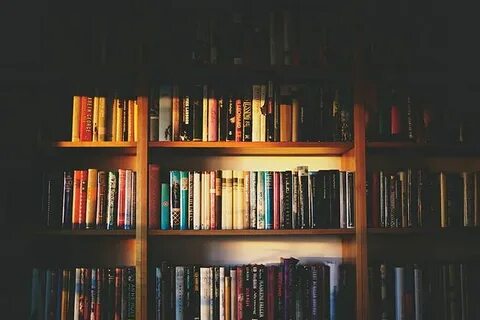 Их любимая полка с книгами