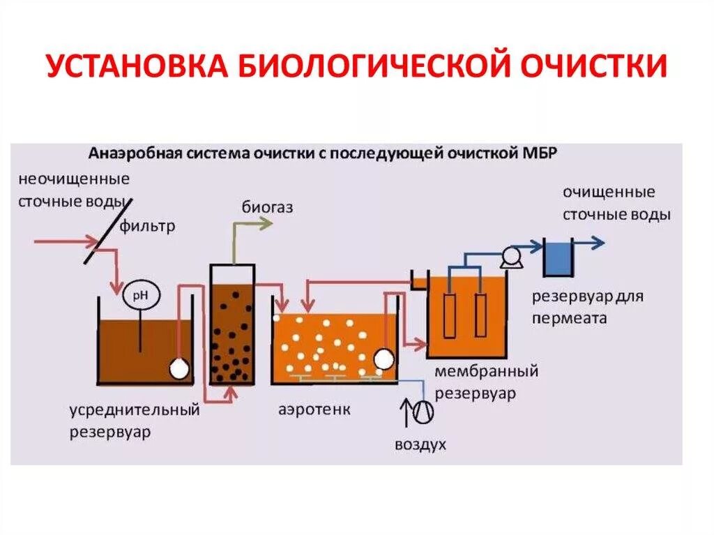 Очистка воды от органических. Биологический метод очистки сточных вод схема. Биологическая очистка сточных вод схема. Биологический метод очистки воды схема. Биологическая фильтрация очистных сооружений.