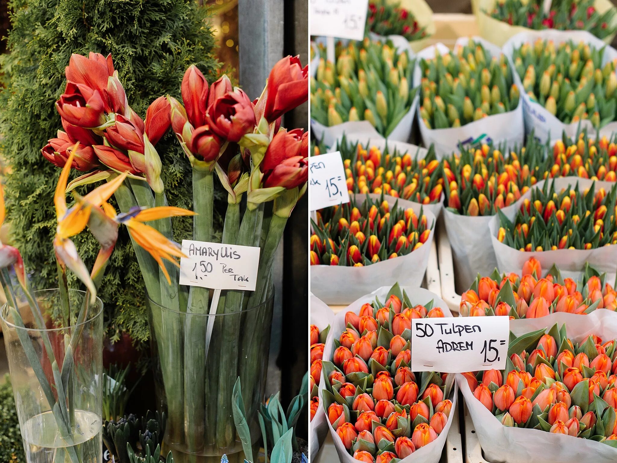 Где купить тюльпаны в москве. Тюльпаны на рынке. Тюльпаны в цветочном магазине. Тюльпаны на цветочном рынке. Цветы из Голландии.